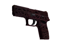 P250 | Contaminant (Minimal Wear)